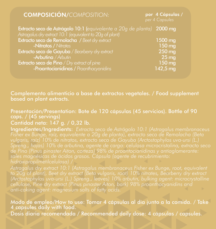 Kidney Support (120 veggiecaps) - Alpha Supplements - Imagen 2